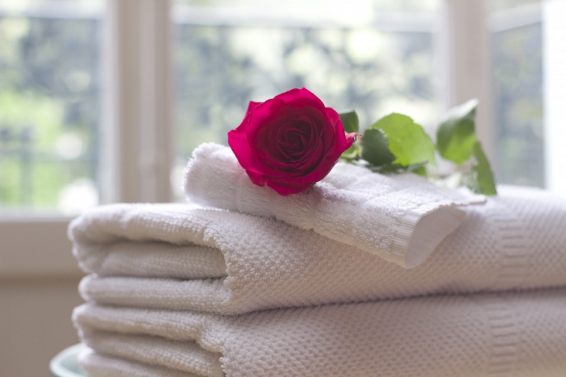 hotel-LA SEYNE SUR MER-min_towel_rose_clean_care_salon_spa_white_bath-731641